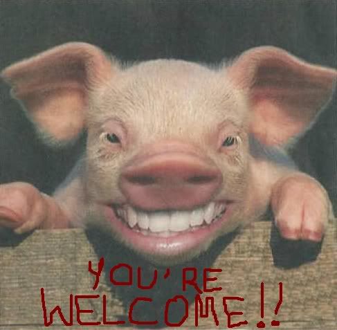 welcome pig