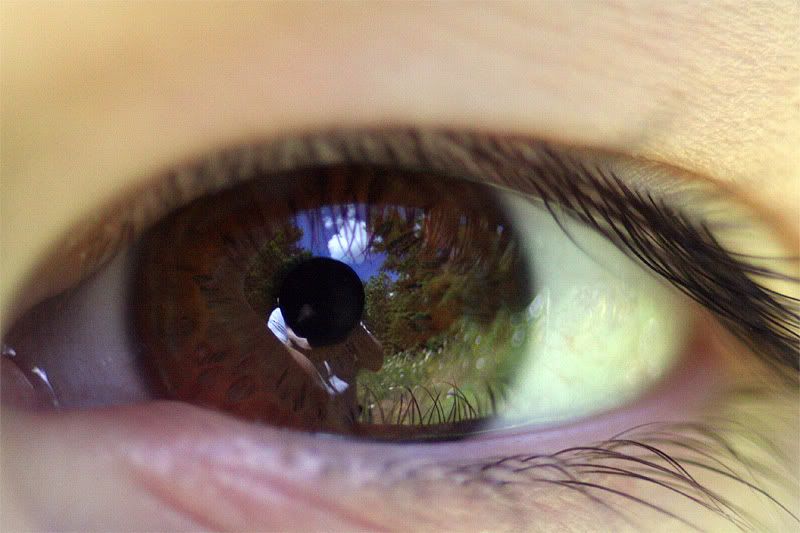 IMAGE: http://i64.photobucket.com/albums/h164/DigitalMDX/JacobsEye136.jpg