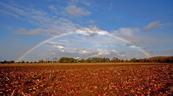Rainbow in Holland (autumn)