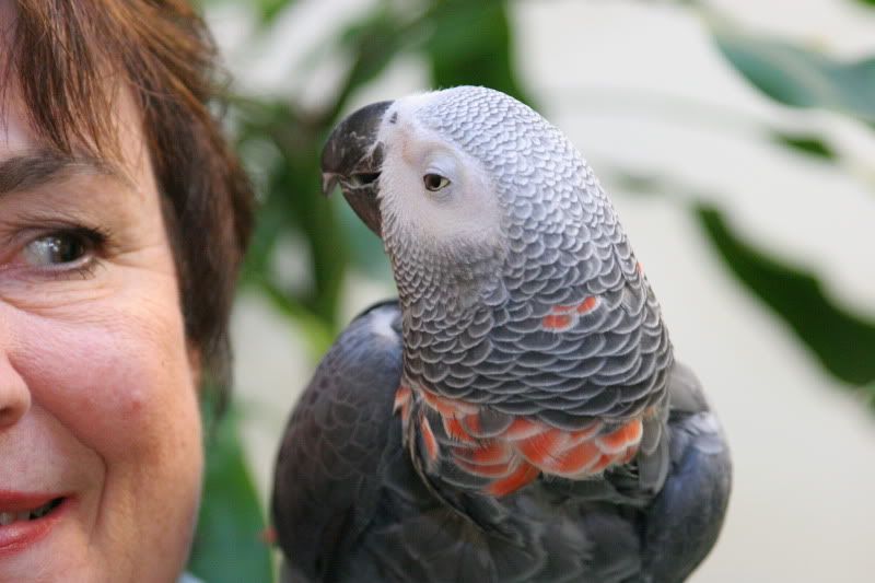 IMAGE: http://i64.photobucket.com/albums/h164/thebugster1/007.jpg