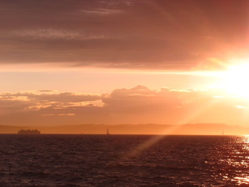 IMAGE: http://i64.photobucket.com/albums/h164/thebugster1/IMG_2528_1_1.jpg