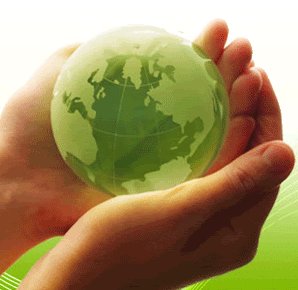 Hoa hồng bất tử cho tình yêu bất tử (Rose 4ever)