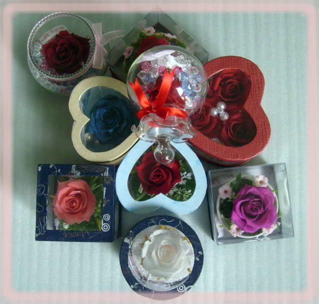 Hoa hồng bất tử cho tình yêu bất tử (Rose 4ever) - 23