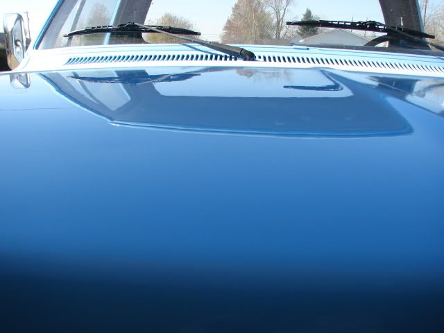DSC01421.jpg