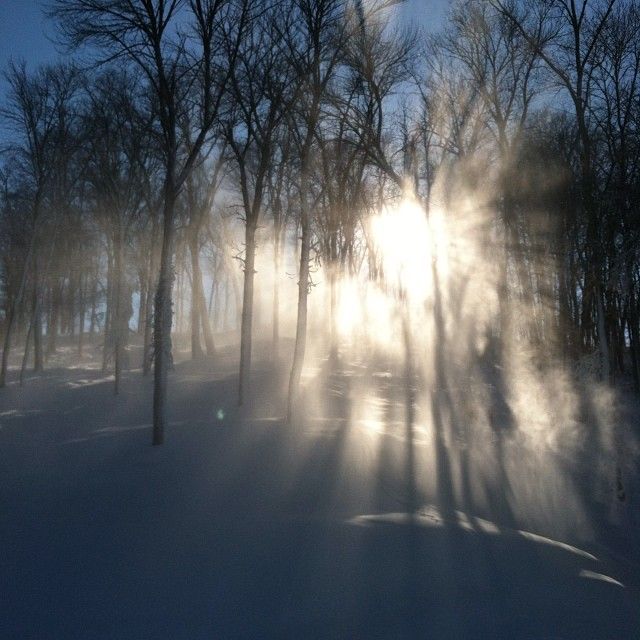 pnssnow_zps98f27bb7.jpg
