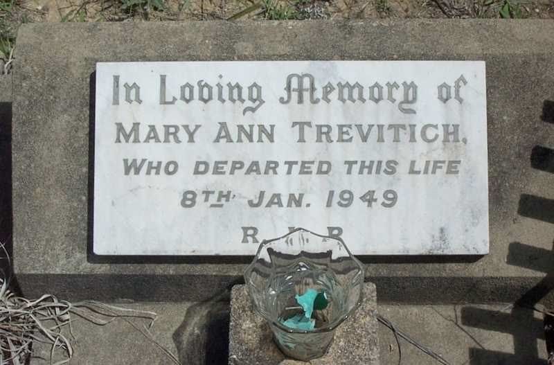 mary ann trevithick nee green