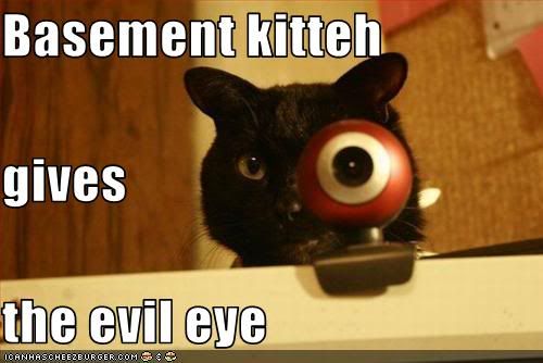 funny-pictures-cat-gives-you-evil-e.jpg