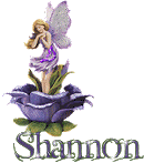 shannon_purple_rose_fae_small.gif