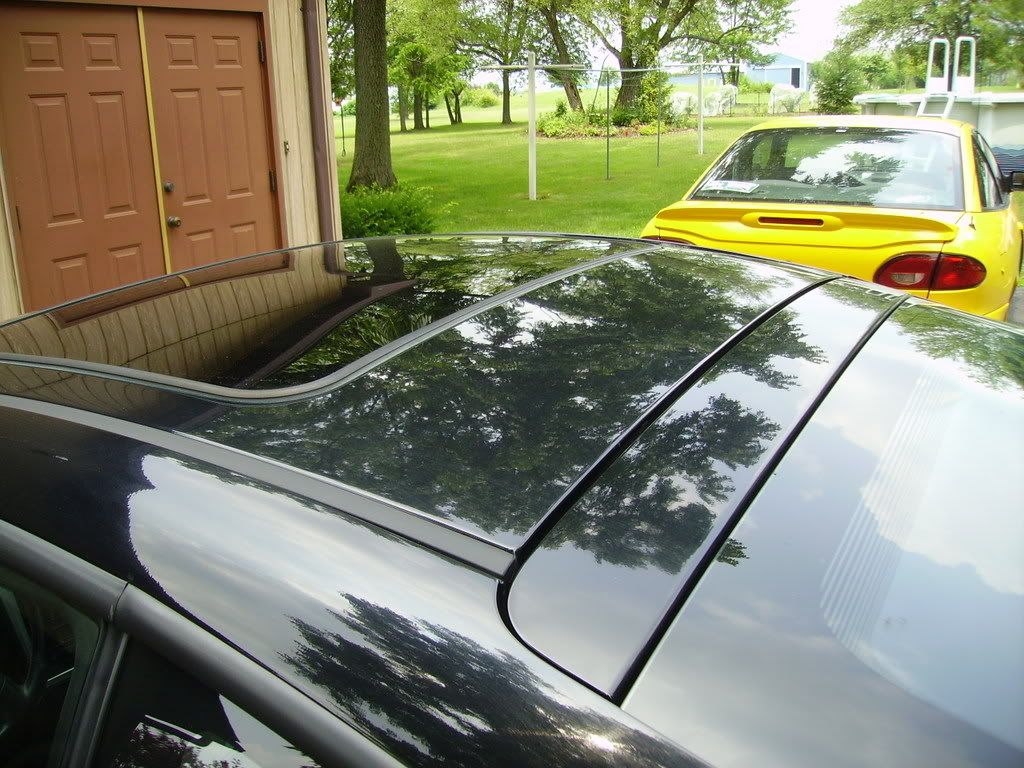 PICT1254.jpg