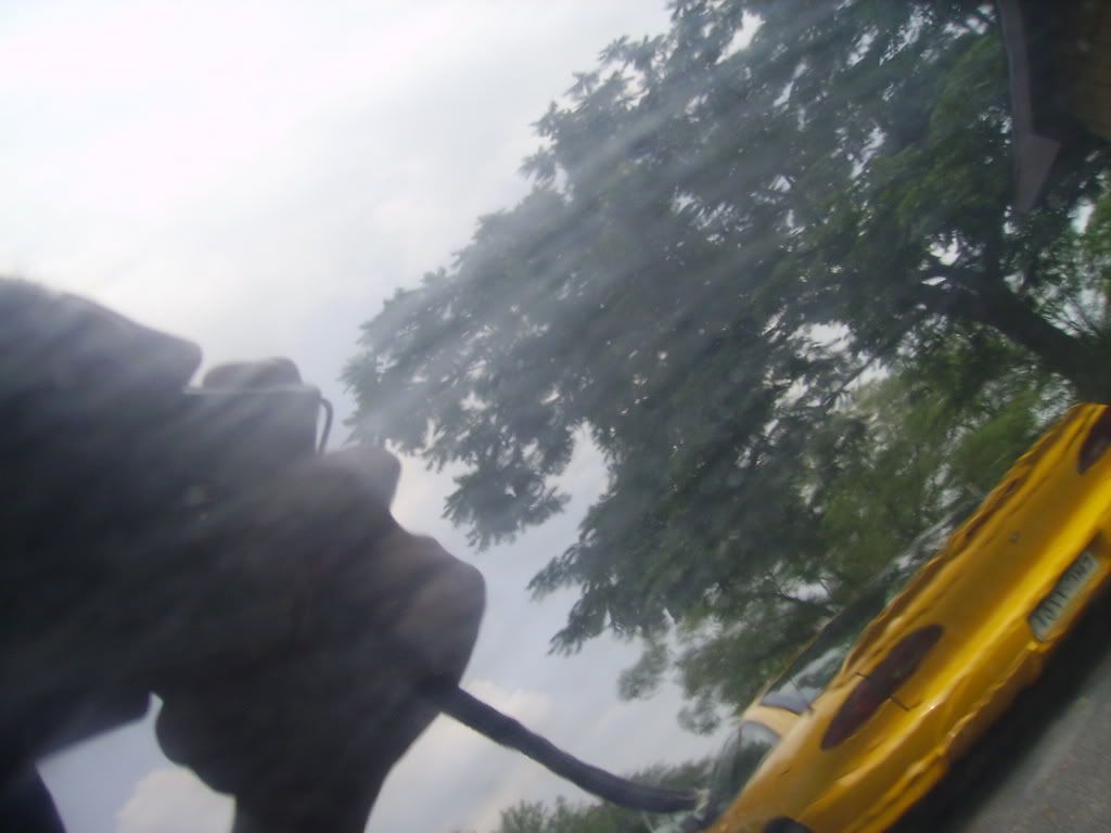 PICT1255.jpg