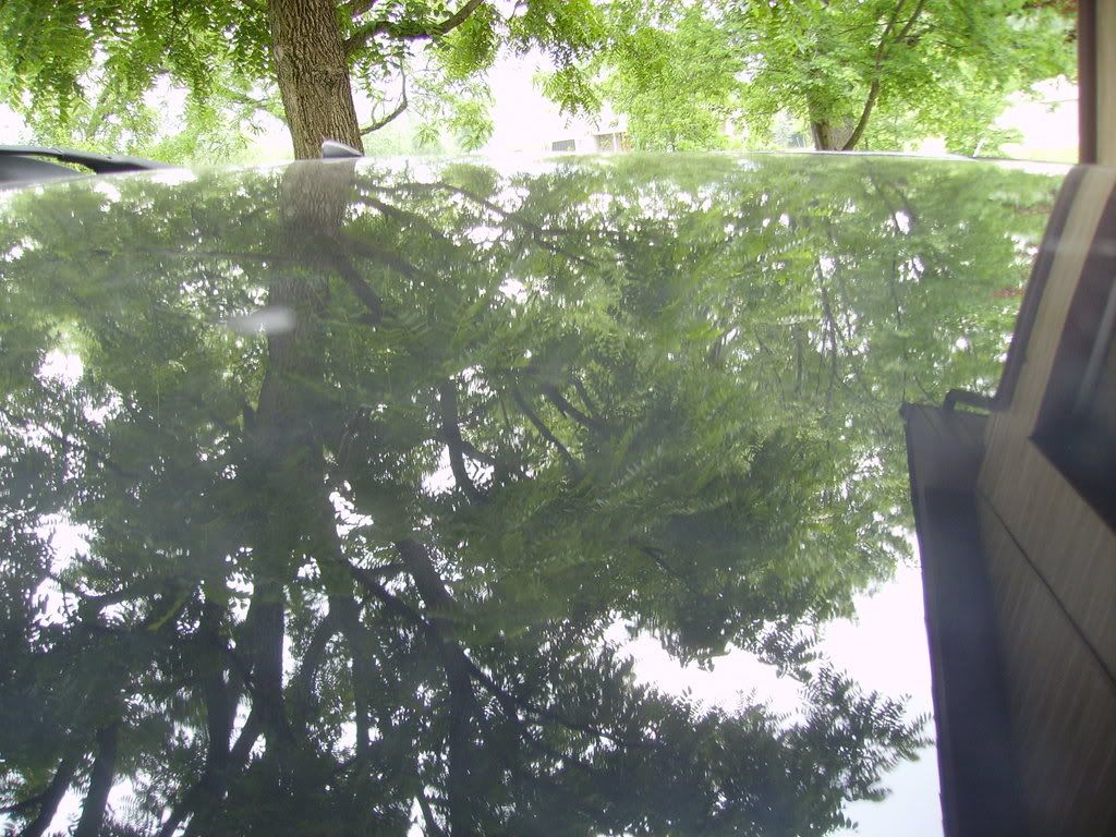 PICT1256.jpg