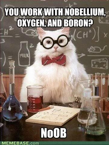 memes-chemistry-cat-chemistry-pro.jpg