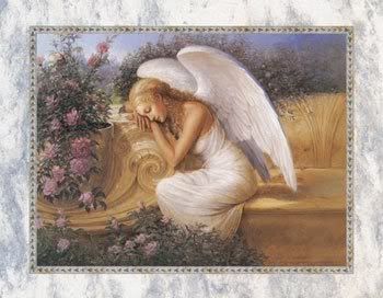 angel praying Pictures, Images and Photos