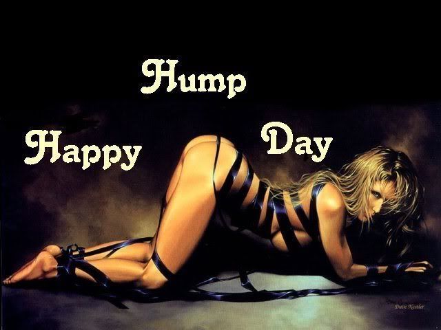 hump day photo: hump day hump-day.jpg