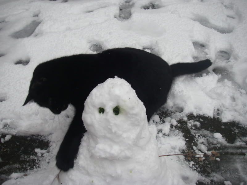 Tinks playing with snowman