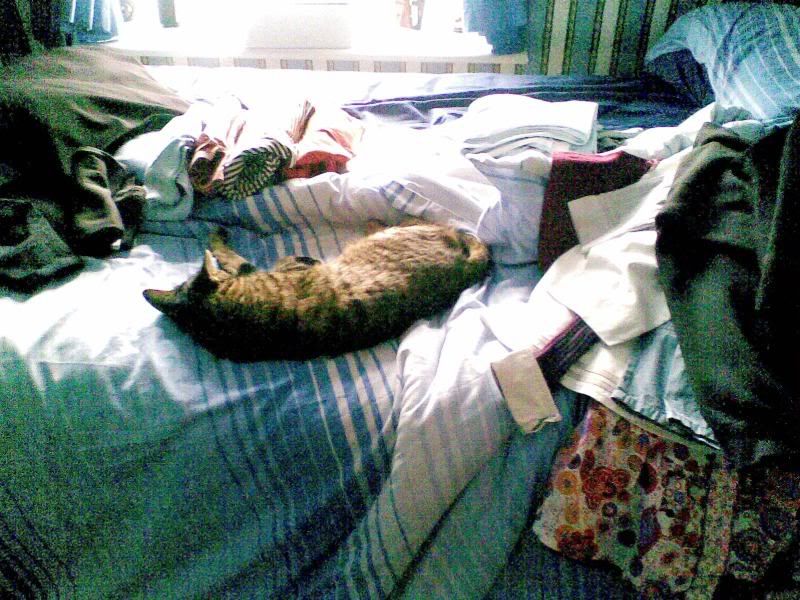 Timmy & the ironing!