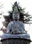 budha Pictures, Images and Photos