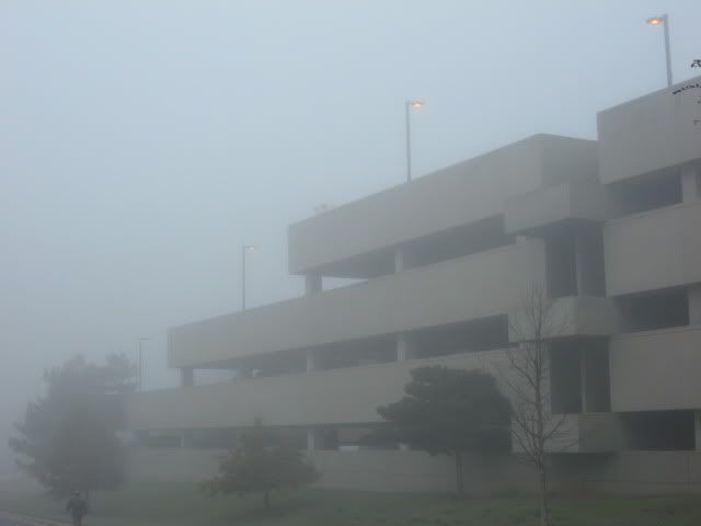 foggy morning