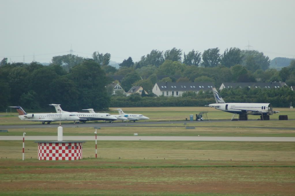 DSC_0040.jpg