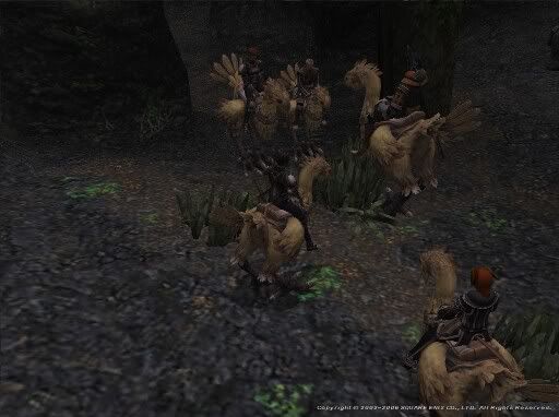 Gathering of the Chocobos, moments before the disband.
