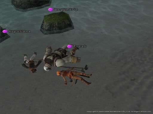 This is the real reason why the Shadowlord returned to life...we accidentally formed a summoning circle with our corpses.
