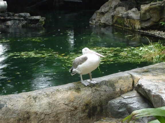 Photobucket - Video and Image Hosting