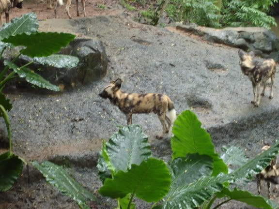 Photobucket - Video and Image Hosting