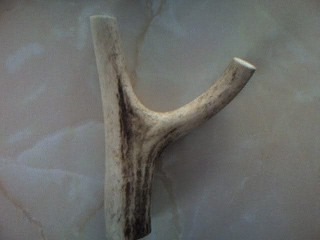 antler.jpg