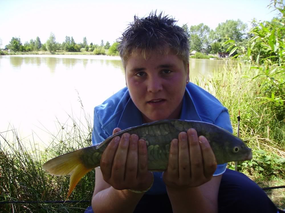 commoncarp1.jpg