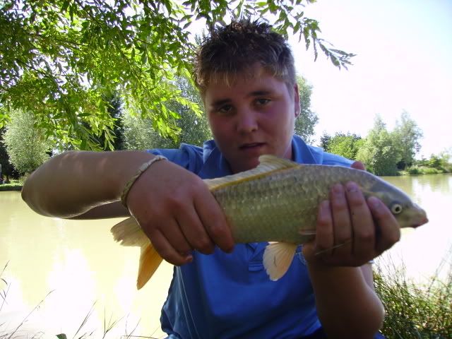 commoncarp2.jpg