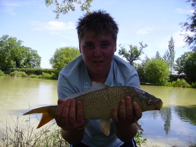 commoncarp3.jpg