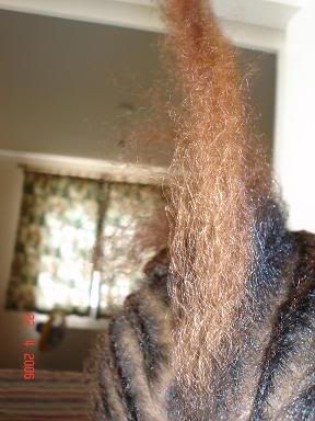 Picture304.jpg