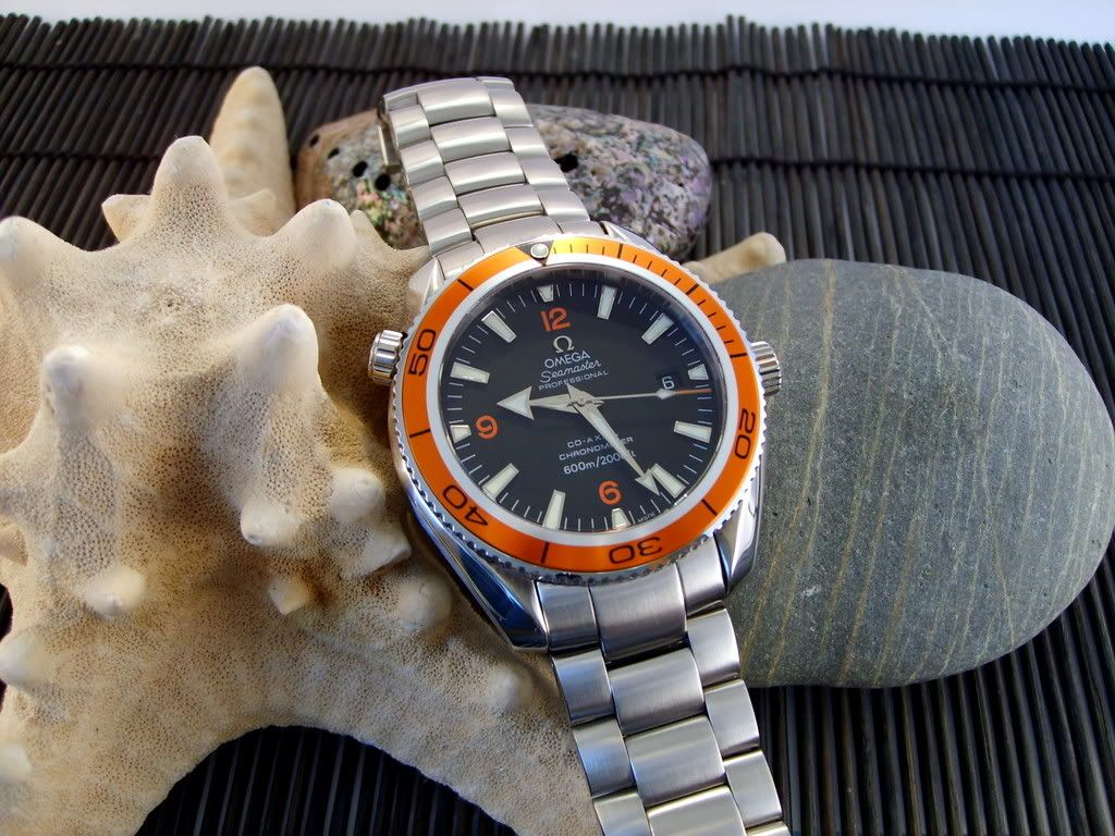 S5001141.jpg