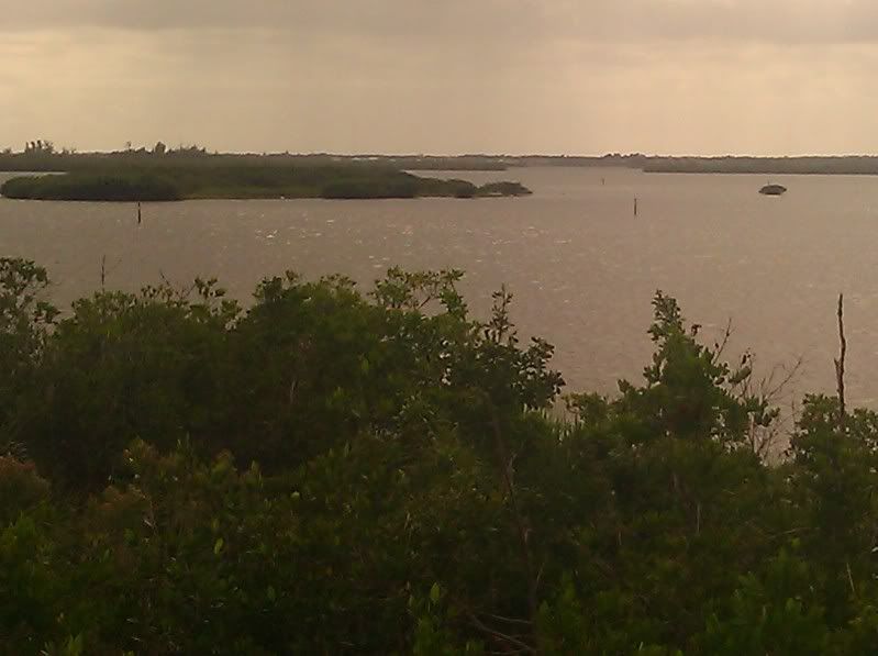 Pelican Island