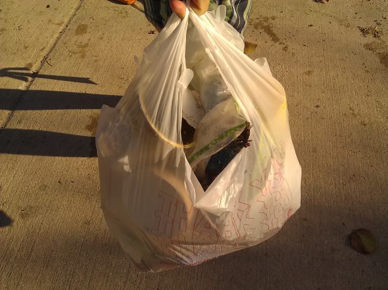 One bag of trash