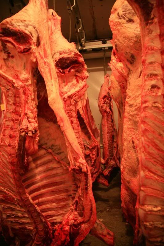 The Cow Room