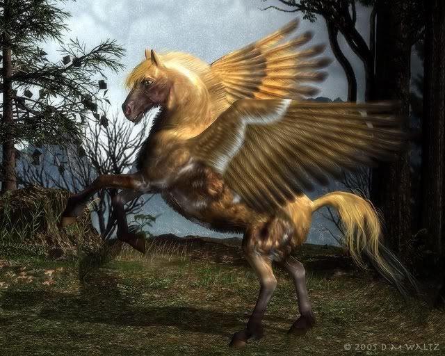15.jpg Golden Winged Horse image by lyfe_is_good