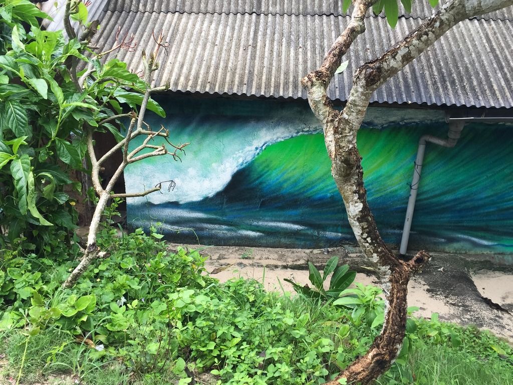 Single Finn Graffiti