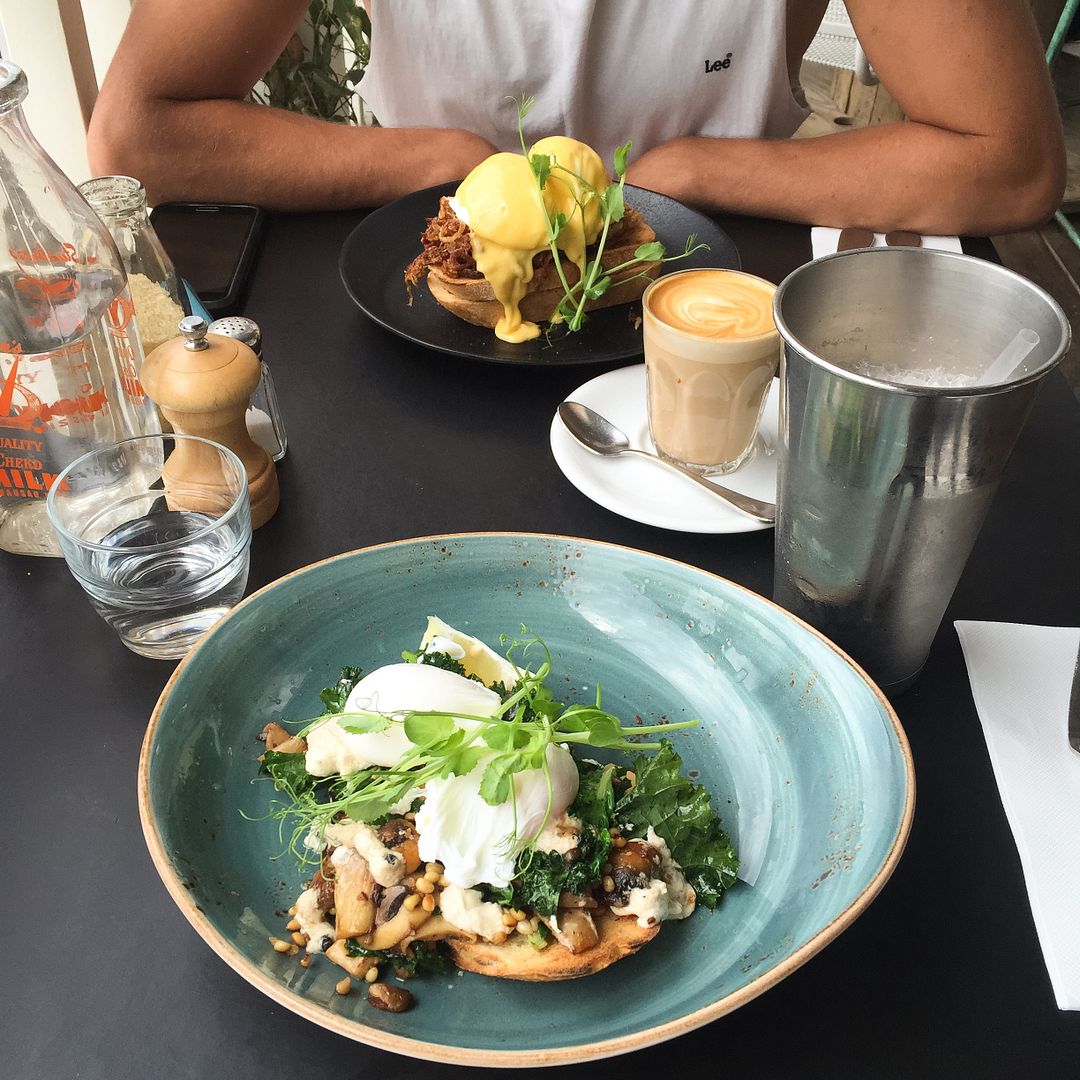  photo TancksShroomsBenedict_zpsglwwtp64.jpg