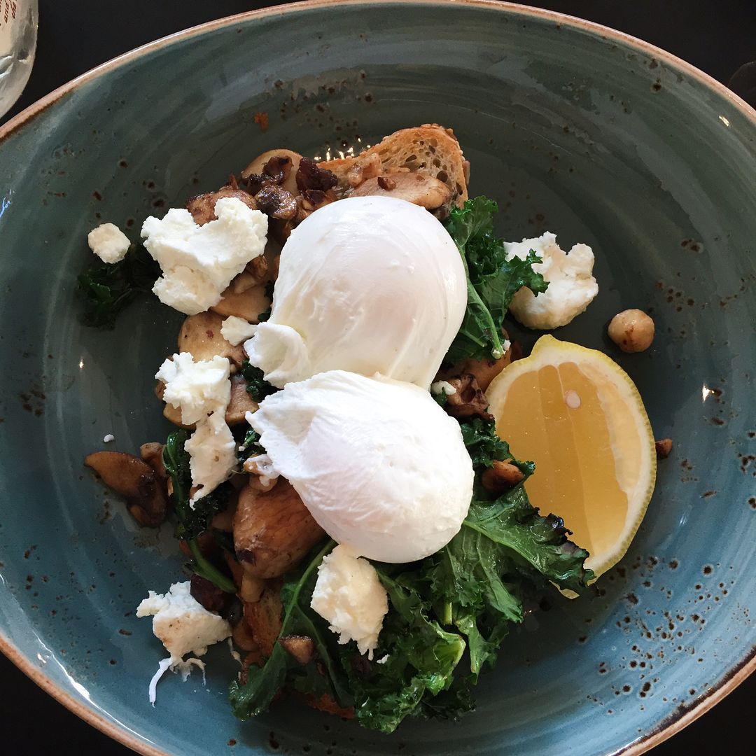  photo TancksShrooms_zpsog8r4njy.jpg