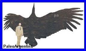 argentavis1.jpg