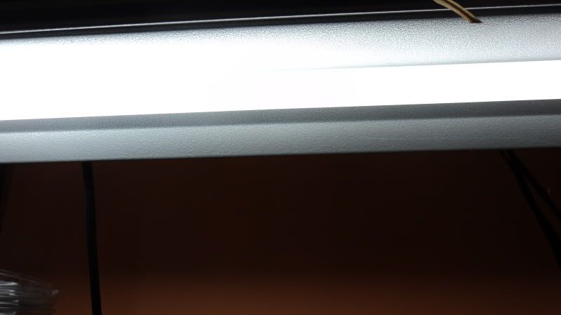 DSC00740.jpg