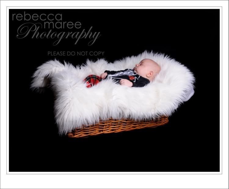 Newborn Portrait Photographer, Newcastle and surrounding suburbs - Rebecca Maree Photography