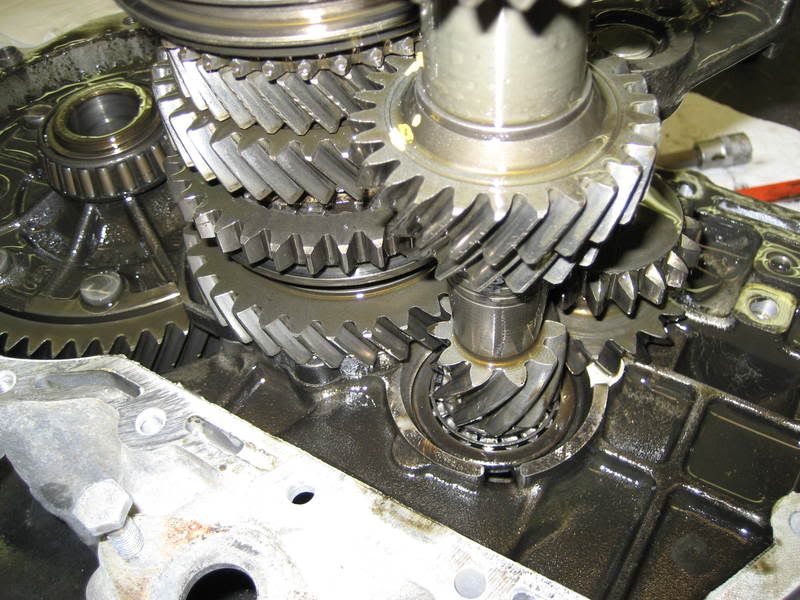 Trans rebuilt/checked out (Got 1000 to spend) APTuning?? VW Vortex