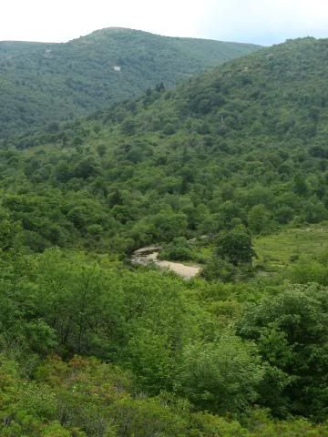 graveyard fields