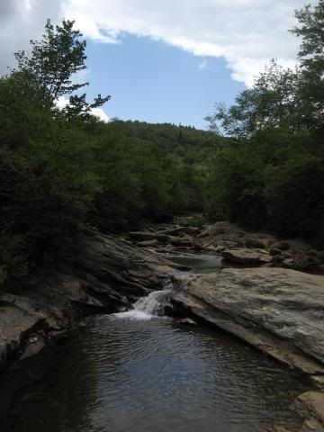 creek at Graveyard Fields