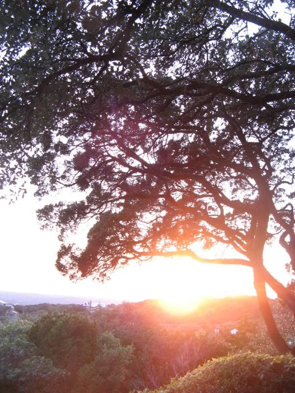 Austin sunset