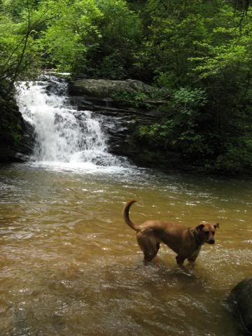 Ophie and waterfall