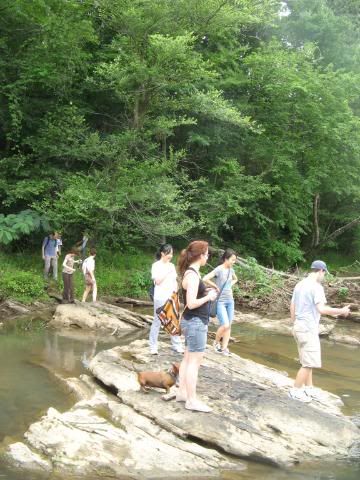 devil's race course shoals