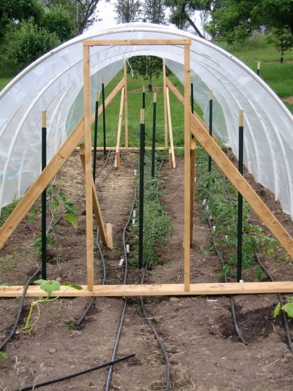 Hoop House (before end walls)